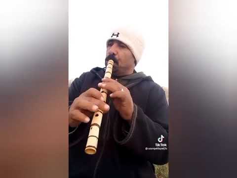 قصبة نايلي صحراوي هبال لمحبي القصبة  