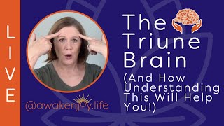 The Triune Brain