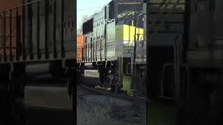 LSRC Heading Through Defoe Park In Bay City W/ PM Heritage Unit 6437 Trailing