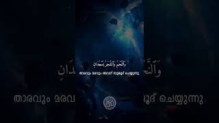 Like Father, Like Son 📖✨The beautiful voice of Abdul Rahman Haitham Al-Dokhin (عبدالرحمن هيثم الدخين