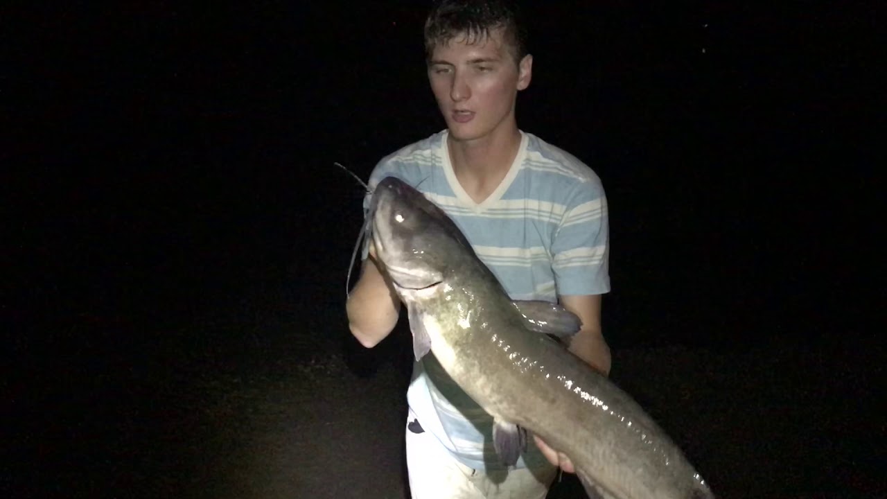 CHANNEL CATFISH SOUTHERN MN YouTube