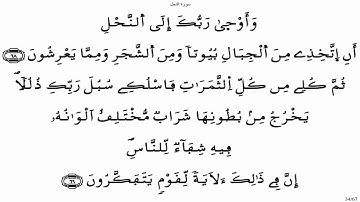 سورة النحل - ياسين الجزائري برواية ورش