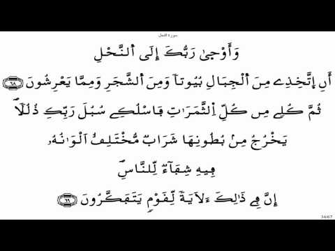 سورة النحل ياسين الجزائري برواية ورش