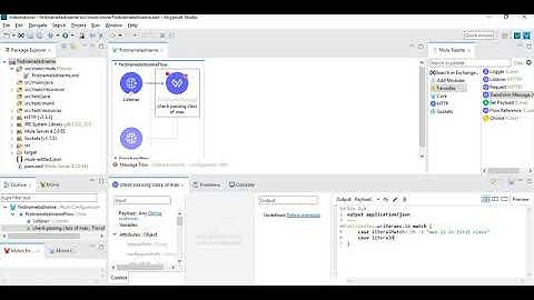 Match Case in DataWeave 2.0 (literalMatch)