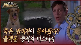 [서프라이즈] 죽었던 동물도 살아 돌아온다는 '지옥의 구멍'