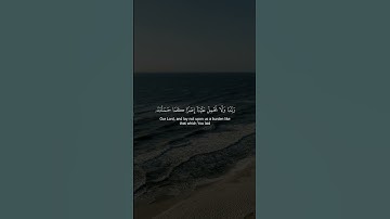 سورة البقرة - الآية 286 - تلاوة ماهر المعيقلي