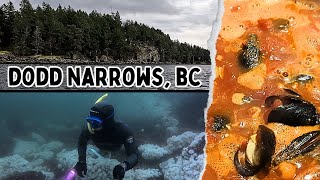 Diving Dodd Narrows, BC (Blue Mussel Catch & Cook) #pacificnorthwest