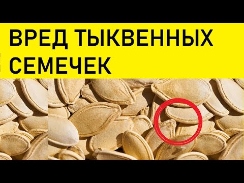 ВРЕД ТЫКВЕННЫХ СЕМЕЧЕК