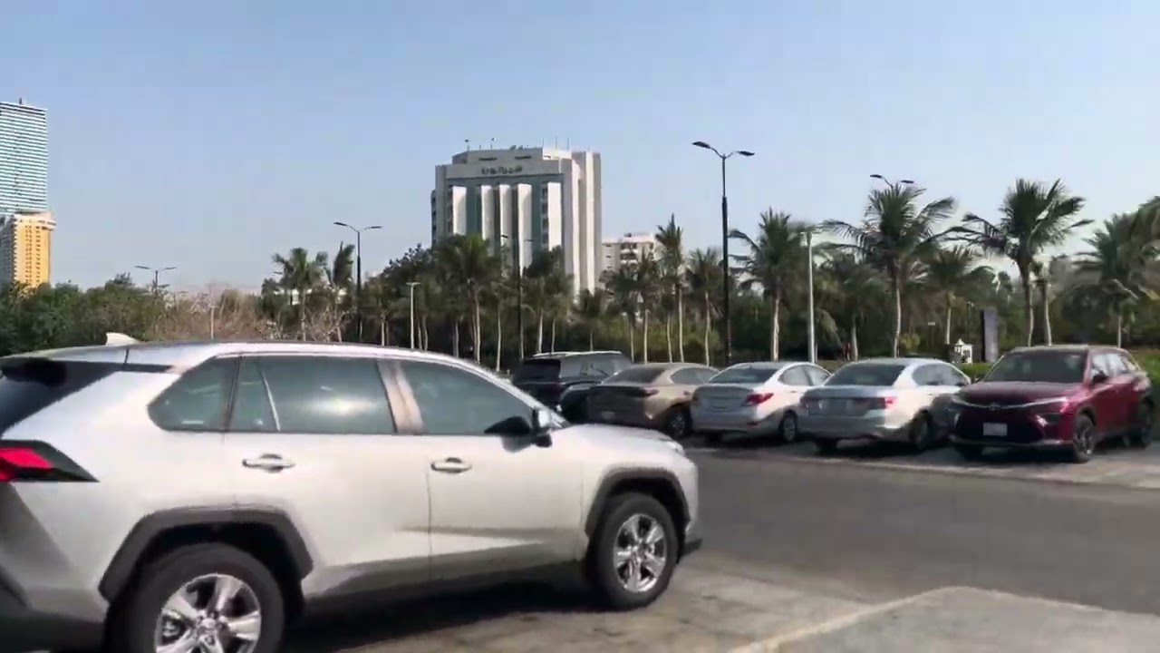 رحنا ننمشي ورحت كذا مكان |يومياتي -لتين  