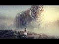 Big Tiger - Photoshop Manipulation Tutorial