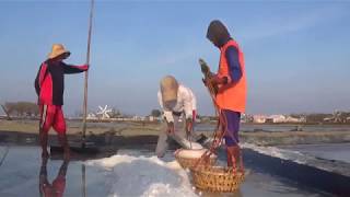 Begini Proses Produksi Garam di Sumenep