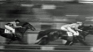 HD Historic Archival Stock Footage Steeplechase In Aqueduct New York And East Coast Circuit 1931
