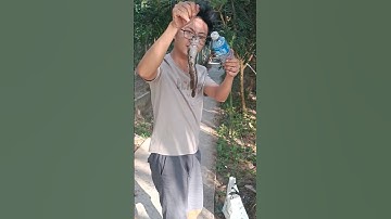 Thả câu bằng chai nhựa - Phần 2 đi thăm câu #thacau #cauca #cắmcâucálóc