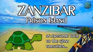 ZANZIBAR | Prison Island Excursion Tour | GoPro Vlog 1080p