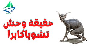 وحش تشوباكابرا | مجلة فوياج الإلكترونية