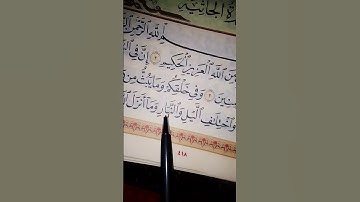 سورة الجاثية القرآن الكريم
