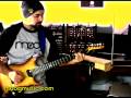 Moog Guitar & Etherwave Plus Theremin