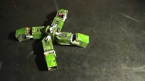 YaMoR modular robot, learning to locomote.