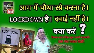 लॉक डॉन में, आम को स्प्रे कैसे करें? How to 4th mango spray in lockdown. 2020, Anil Raman Villager