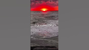 إنك ميت وإنهم ميتون _ كرومات قران  _ ياسر الدوسري _ سورة الزمر