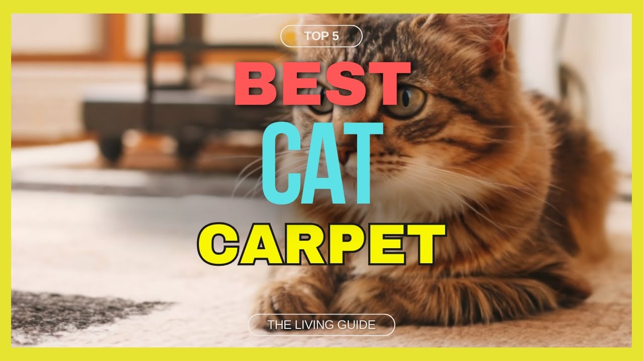 🔥 Best Carpets for Cats in 2024 ☑️ TOP 5 ☑️ YouTube