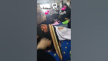 سورة السجدة - Beautiful meaning #quran #assajdah