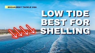 GO SHELLING ON LOW TIDE Your Best Damn Beach Report From Corpus Christi Texas USA 24