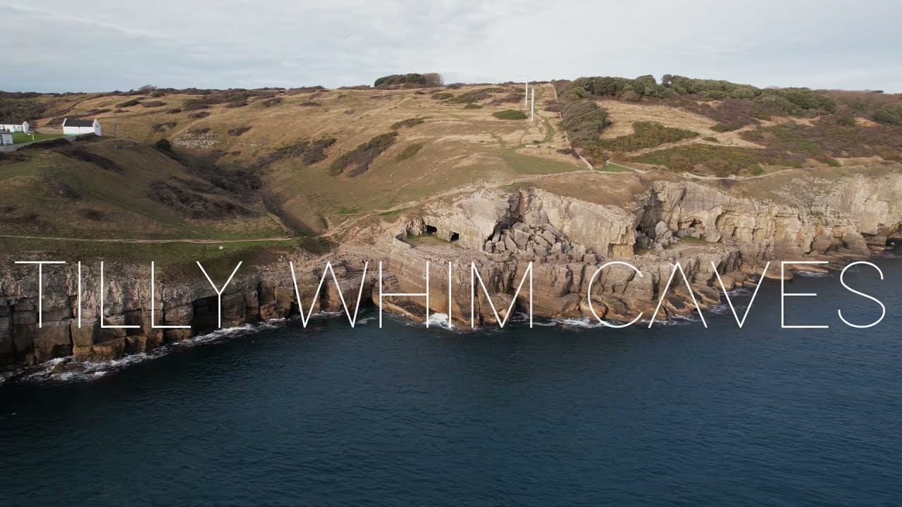 Tɪʟʟʏ Wʜɪᴍ Cᴀᴠᴇs | Dᴏʀsᴇᴛ 