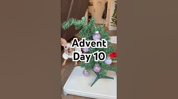 Day 10 of our advent calendar!! #adventcalendar #day10 #ornaments #purple #happydog #christmas