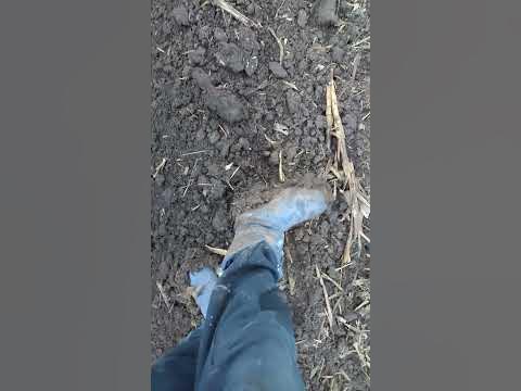 це капець! - YouTube