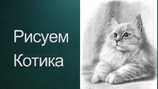 Как рисовать кота. Получите 50 уроков в описании ролика.