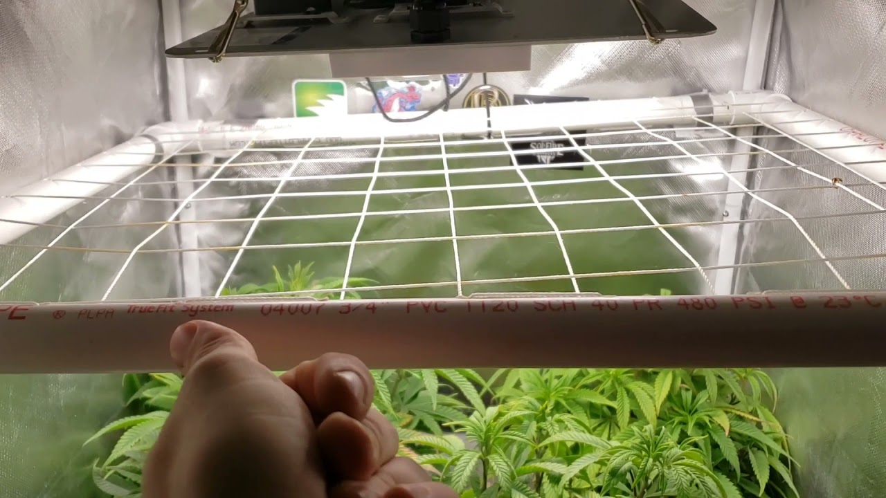 2x2 Grow Guide; implementing the trellis net