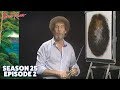 Bob Ross - Enchanted Falls Oval (Season 25 Episode 2)