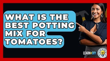 What Is The Best Potting Mix For Tomatoes? - LearnToDIY360.com