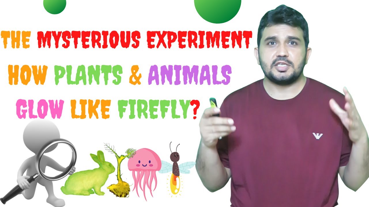 Introduction to Luciferase reporter gene system