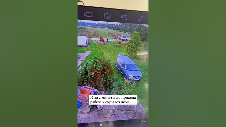 ОЧЕНЬ ХИТРЫЙ КОНЬ, КОТОРЫЙ УМЕЕТ ВРАТЬ