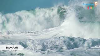 Exploring Natural Disasters: Lightning, Tsunami, Wildfire, Earthquake & More -Creative kids