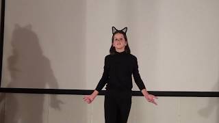 С точки зрения кошки С точки зрения кошки