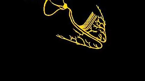 Star of Bethlehem
