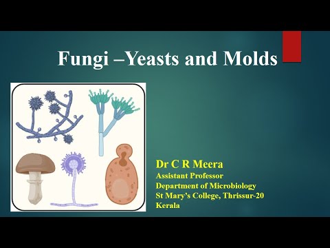 Fungi - Yeast and Molds - Dr C R Meera