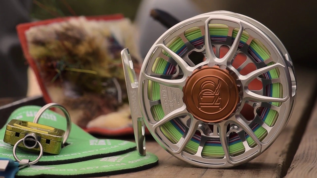 SHOP TALK: The new ROSS ANIMAS reel 