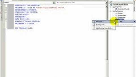 .NET for COBOL Programmers: Lesson 2-5