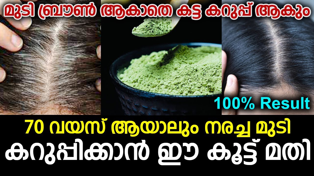 എത്ര നരച്ച മുടിയും ഒറ്റ യൂസിൽ കറുപ്പിക്കാൻ ഈ കൂട്ട് മതി |Natural hair dye for black hair