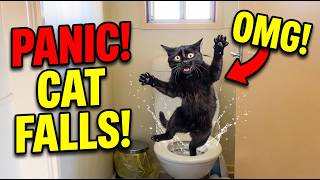This cat's jumping skills are NONEXISTENT INSTANT REGRET - ULTIMATE Funny Cat Fails Compilation 2026