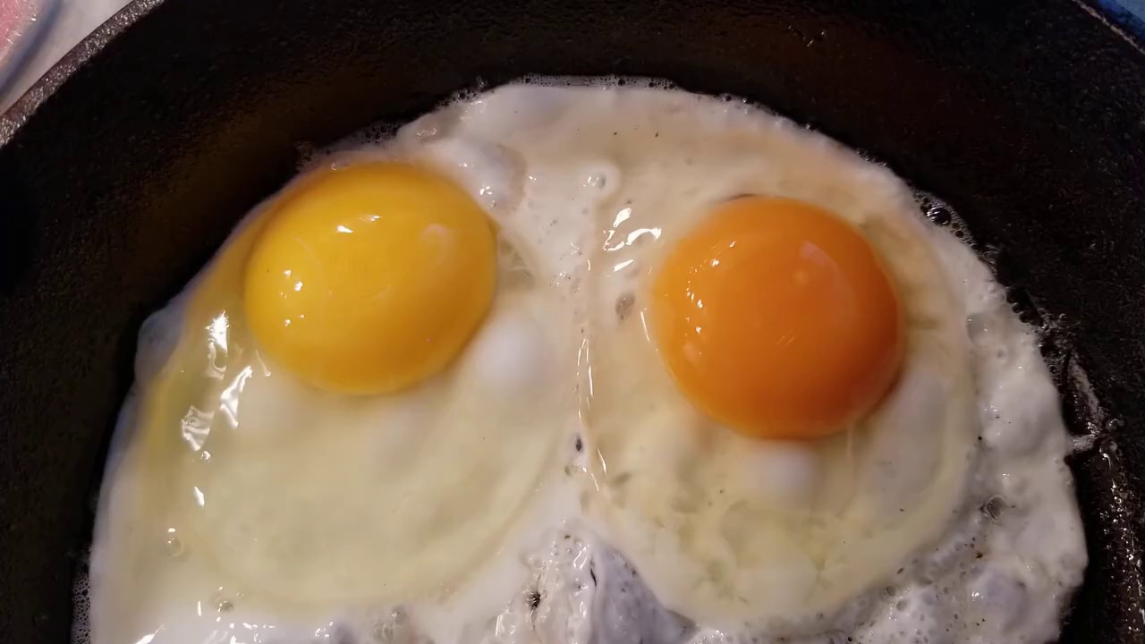 Organic Eggs vs Omega 3 Free Range Eggs 🥚vs 🥚 🍳 (a segment from my OMAD 2 video) YouTube