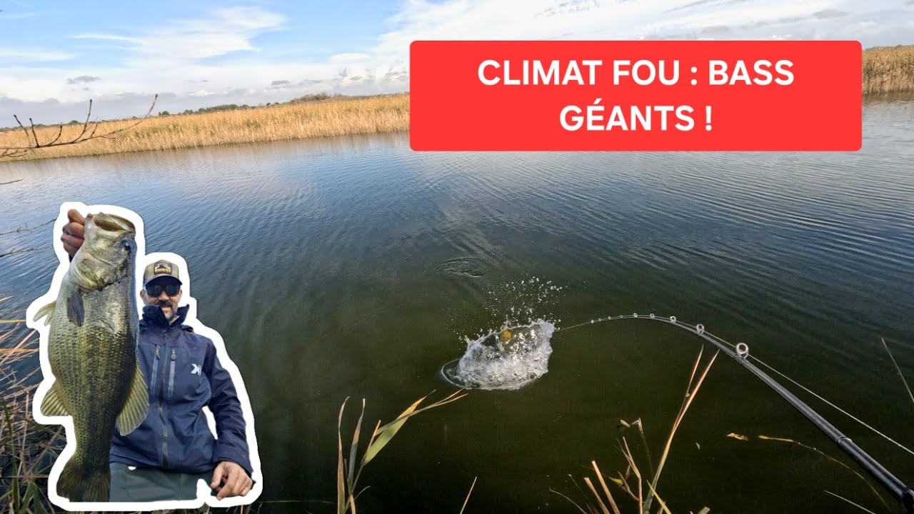 🔥 “Inédit en novembre : big bass et gros leurres sous des températures anormales !”