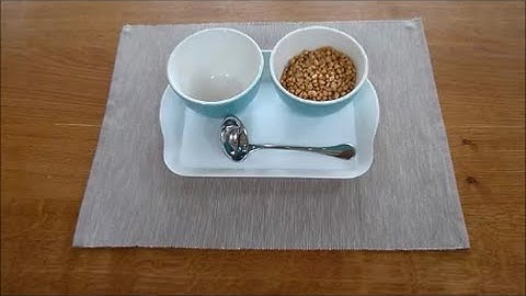 Montessori Practical Life Activity: Transferring with a ladle (dry ingredients)