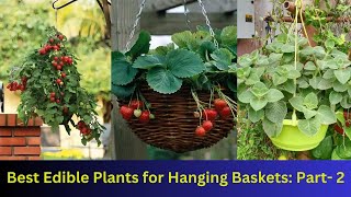 Best Edible Plants for Hanging Baskets: Part  2 || #indoorplants #hangingplant