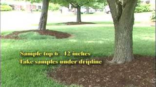 Gardening In Kentucky Video Podcast: Soil Testing