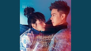 Download Lagu 想你的时候 (卡拉版) MP3